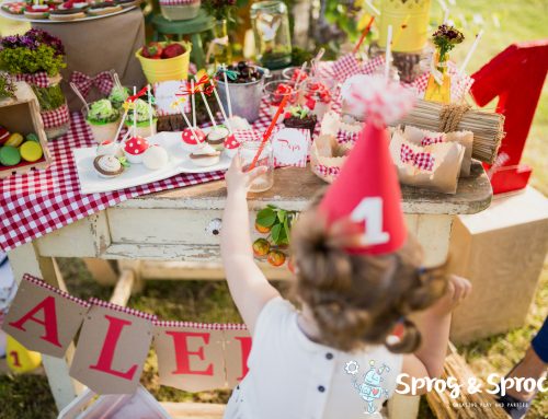Planning Your Kid’s Party Without Losing Your Mind – Part 1