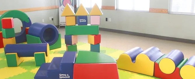 Lil Rollers Soft Play Party Rental. Pick Up Package. 6 Soft Play Obstacles.